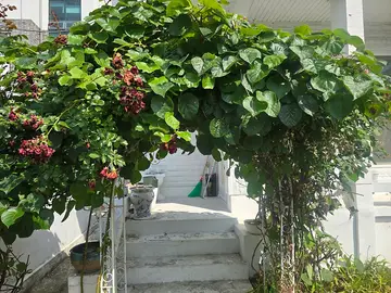 대전 마당정리 비용｜가장동 주택 폐기물 철거 후 자갈시공까지 현장 사진