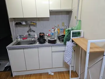 대전 갈마동 원룸 빈집정리, 대형견 냄새와 오염까지 정리한 현장 현장 사진