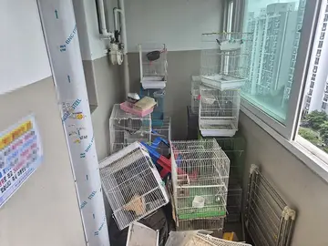 대전 법동 아파트 복도 새장 폐기물처리 현장 사진