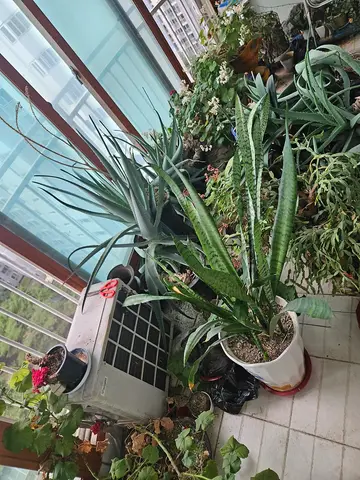 대전 산성동 유품정리, 4명이 하루 동안 정리한 집 전체 물량 현장 사진